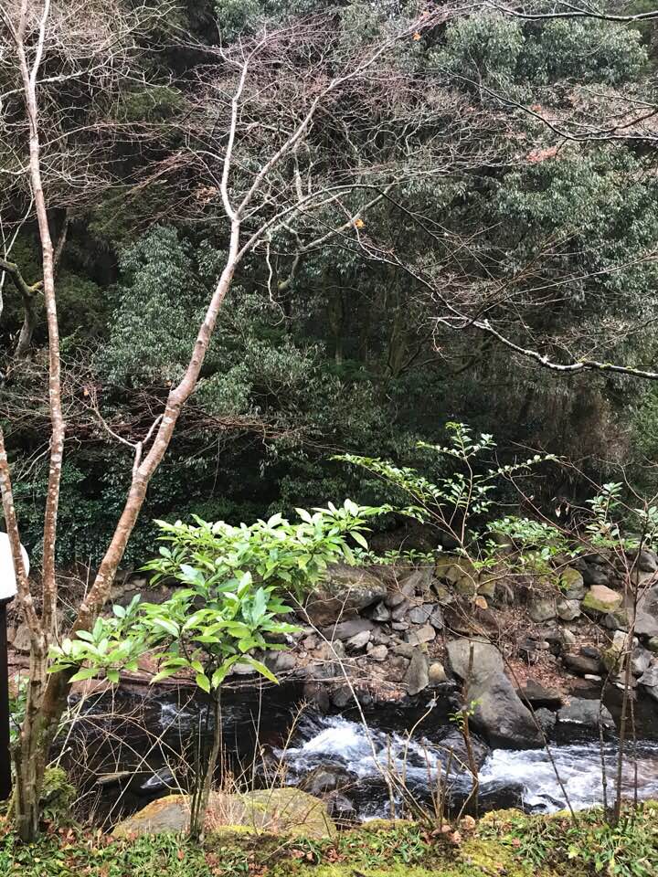 20180108165340KakaoTalk_20180108_164725405.jpg